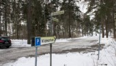 Flygande djur viktig del i detaljplansarbete