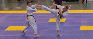 Nystartade karateklubben presterade i Spanien