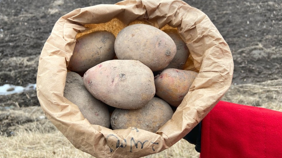 Dags igen för Smaka på Tjust • Skinn och potatis, lyxloppis och