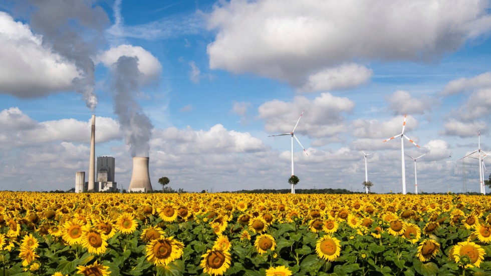 Ett koleldat kraftverk bredvid vindsnurror i Tyskland. Världen måste ställa om från fossila bränsle till förnybara alternativ – och det snabbt, enligt FN:s klimatpanel IPCC.