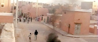 Risk för öppet krig i Västsahara