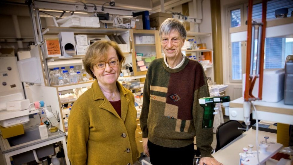 Professorerna Lena Claesson-Welsh och Bengt Glimelius är två av Uppsalas många framgångsrika cancerforskare, som Åke Spross uppmärksammat under sin gärning på UNT.