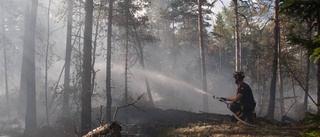 Skogsbrand dyr för kommunen