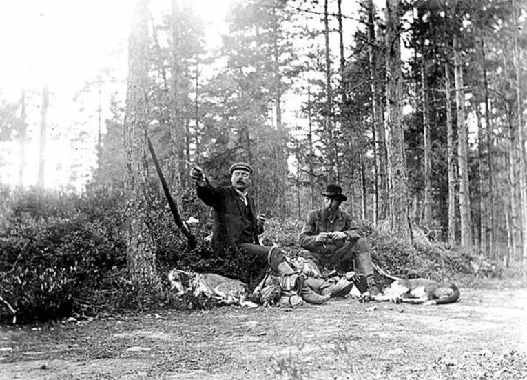 En stunds vila i jakten. Hundarna var ett djur som i rollen som mänsklighetens försvarare ofta råkade riktigt illa ut i konfrontation med gråben.