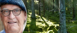 Fastighetsmiljardären köper skog för miljoner i Norrbotten • "Privat familjehobby"
