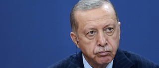 Erdogan: Västs provokationer bakom strypt gas