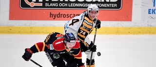 SHL-spelare kan förstärka Piteå