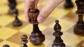 Norsk schackordförande erkänner fusk