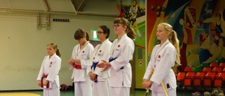 Många medaljer i karate till Inyon