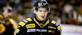 AIK-floppen återvänder till Europa – klar för spel i tyska ligan: ”En pålitlig veteran”