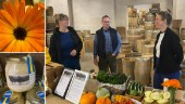 Stora tunnor och närodlade grönsaker på årets Aptitrunda: "Många nyfikna och många som återkommer"