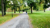 Stadsparken ska vara en plats för promenad