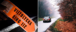 Viltolyckor: Gotland tredje olyckstätast i landet • 20 bilister i veckan kommer drabbas