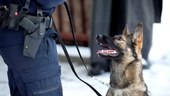 Oro bland polisens hundförare