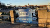 Svanar och doppingar hänvisas till Stora strömmen • Kommunens annons har fått uppmärksamhet på Facebook