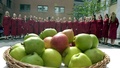 Eric Erfors bland äpplen och päron