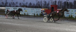 Vann tio miljoner kronor på Bodentravet – här är historiska kupongen