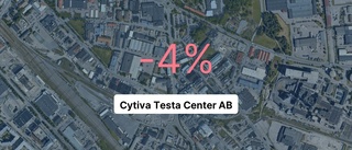 Cytiva Testa Center AB: Nu är redovisningen klar - så ser siffrorna ut