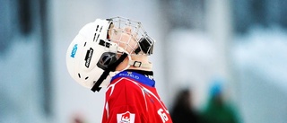 Trio stannar i Kalix Bandy