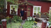 250 dahlior och 700 ettåringar – stor damm med näckrosor 