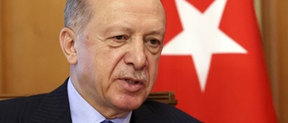 Regeringen utlämnar turkisk medborgare