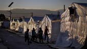 FN: Våld mot syrier ökar i Libanon