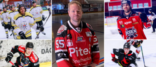 Länets Hockeyettan-gäng på is inom kort - två tidigare Bodenspelare till Piteå och en tredje på väg in - så här är dagsläget i klubbarna