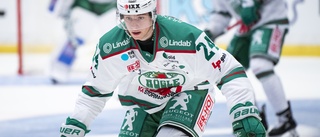 Landslagsman med meriter från SHL till Vimmerby Hockey • "Spelskicklig center"