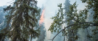 Flera larm om skogsbränder – här brinner det i länet