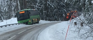 Buss med skolelever körde av vägen - igen