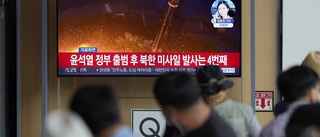 Nordkorea avfärdar nedrustningsidé