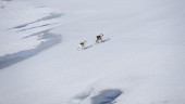 Bygg vattenkraft i de sista orörda älvarna