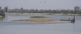 Torkan tömmer floden Tigris