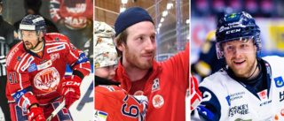 VIK:s 50 bästa i Hockeyallsvenskan: plats 30-21