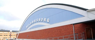 Stjärnglans över Hildursborg  