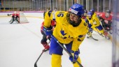 Luleå Hockey/MSSK värvar forward från rivalen