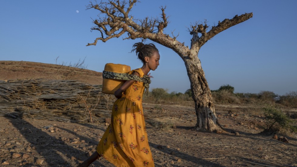 En kvinna på flykt från Tigray-regionen, där det har lugnat ned sig efter en av de senaste årens blodigaste konflikter som enligt vissa uppskattningar krävt hundratusentals människoliv. På andra håll i Etiopien blossar dock nygamla konflikter upp. Arkivbild.