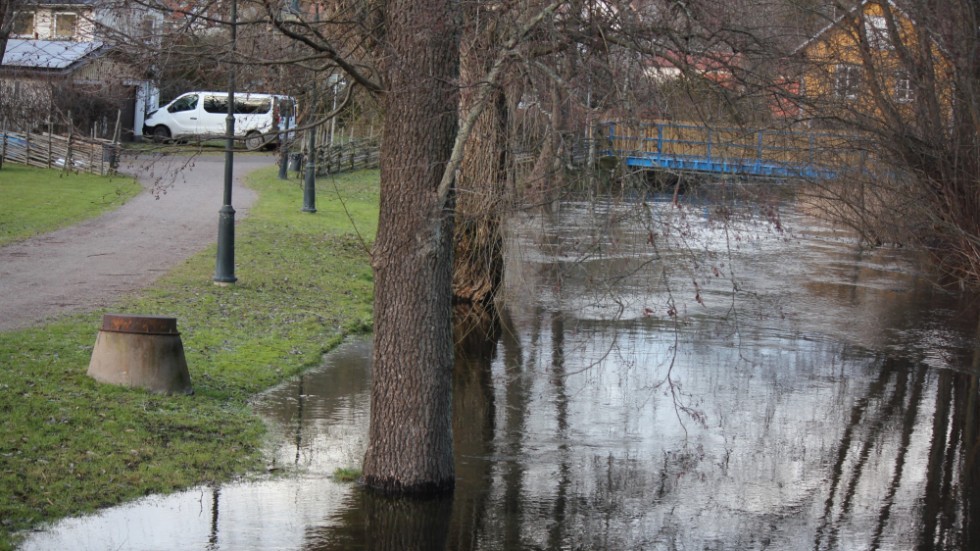 Träden längs åkanten har nu blivit en del av ån.