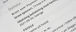 Vändningen: Yngsta brodern erkänner – tog emot pengar