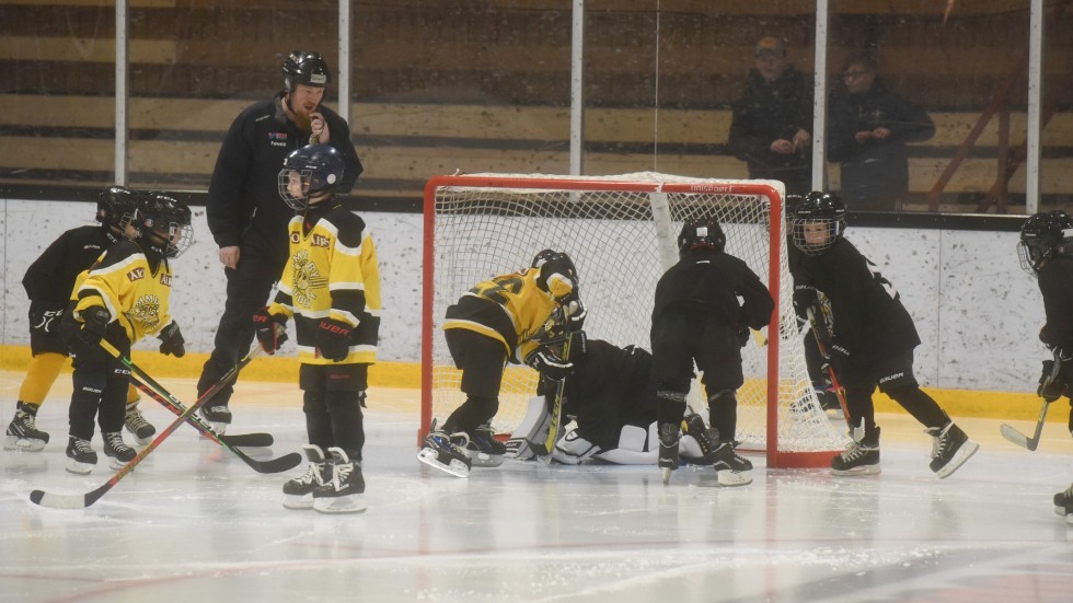 VH-ungdomarna i Tre Kronors Hockeyskola fick visa upp sig i en match i periodpausen när VH mötte Borås i fredags.