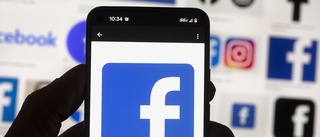 Kraftigt minskad vinst för Facebook
