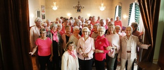 Damerna stöttar forskningen med eget pink party • ”Tänker på mina döttrar och barnbarnsbarn”
