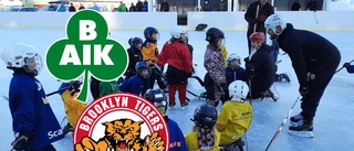 Bergnäsets AIK nära hockeysektion – därför vill Brooklyn Tigers ansluta