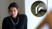 Älva, 16, slog larm – film med plågad grävling spreds bland unga