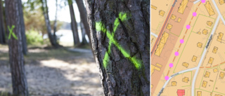 Trädfällningar i Långparken väcker starka reaktioner – många sörjer träden