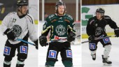 Fyra spelare lämnar ESK Hockey