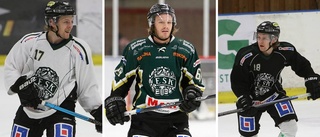 Fyra spelare lämnar ESK Hockey
