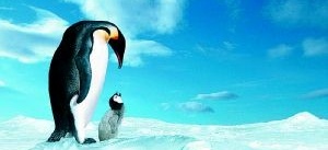Pingvinerna på frammarsch
