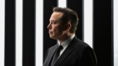Delseger för Teslaägare mot Elon Musk