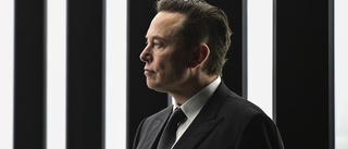 Delseger för Teslaägare mot Elon Musk